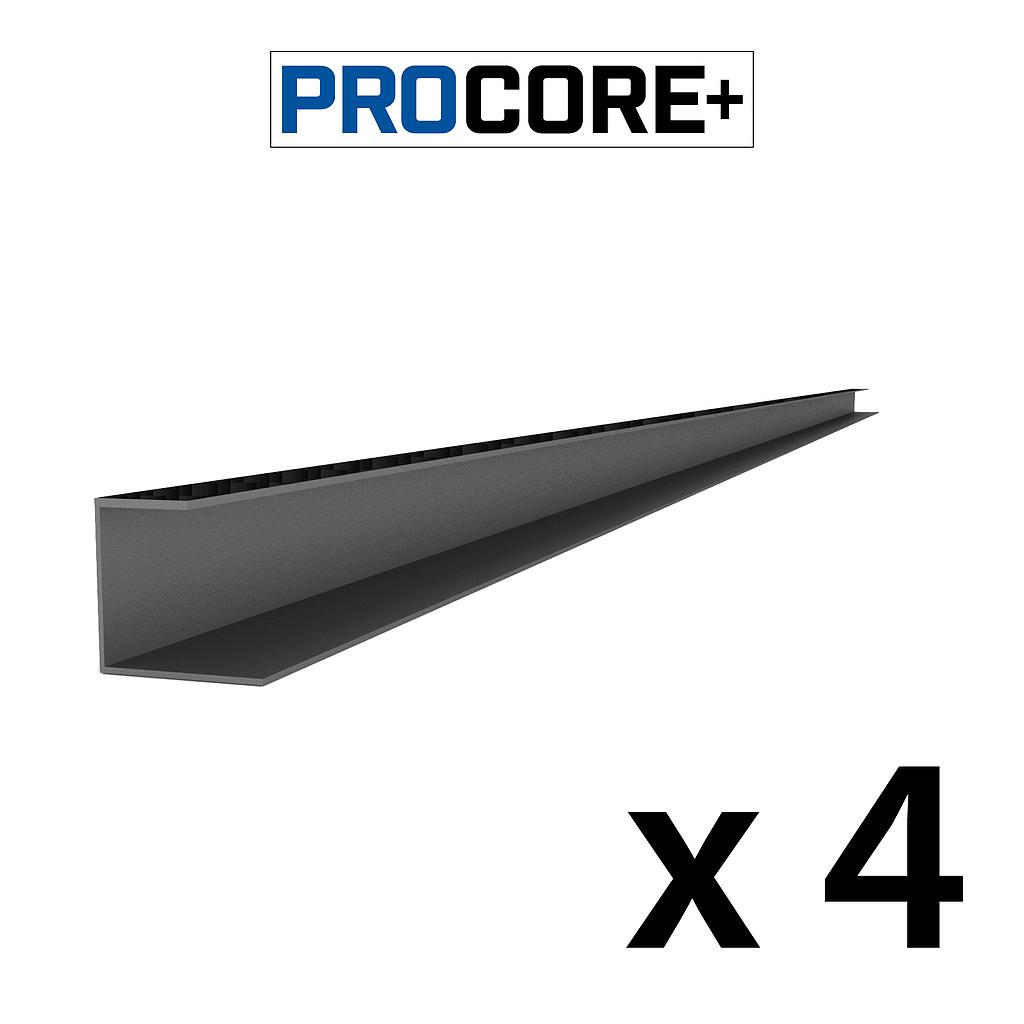 27124K PROCORE+ Side Trim Black Carbon Fiber - 8' 4 PK