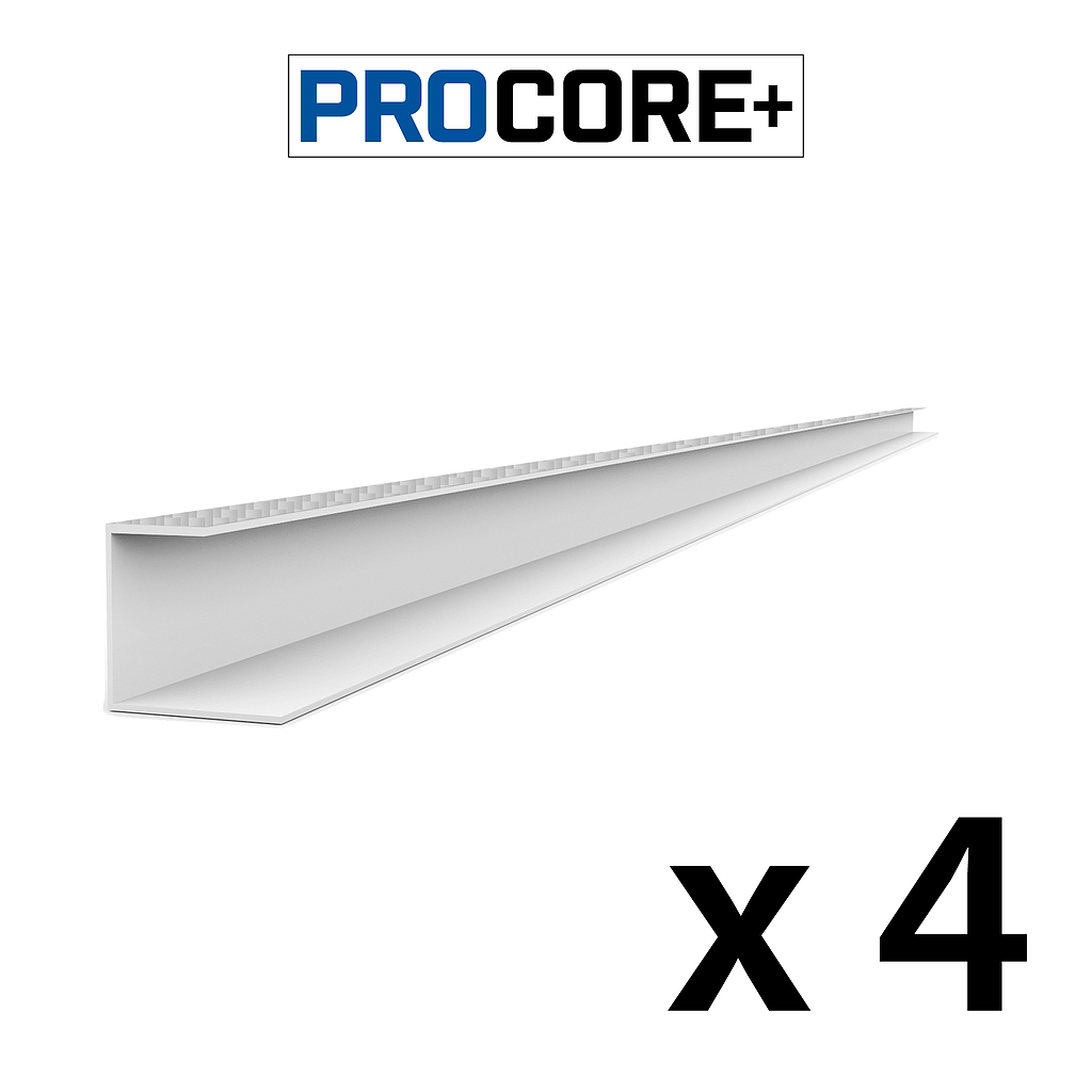 28124K PROCORE+ Side Trim Silver Carbon Fiber - 8' 4 PK